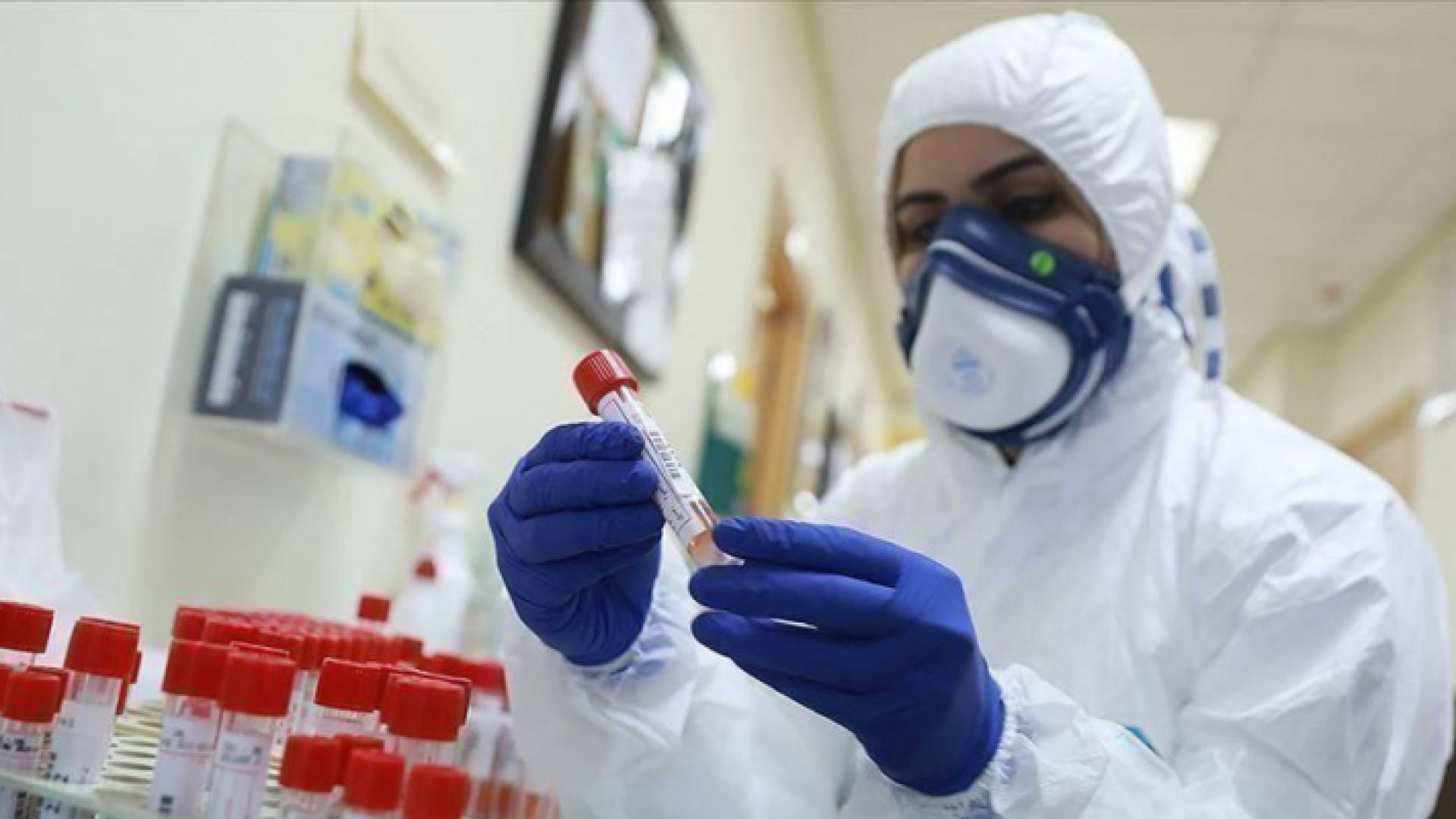 نسبة التعافي من فيروس كورونا في فلسطين بلغت 70.5%