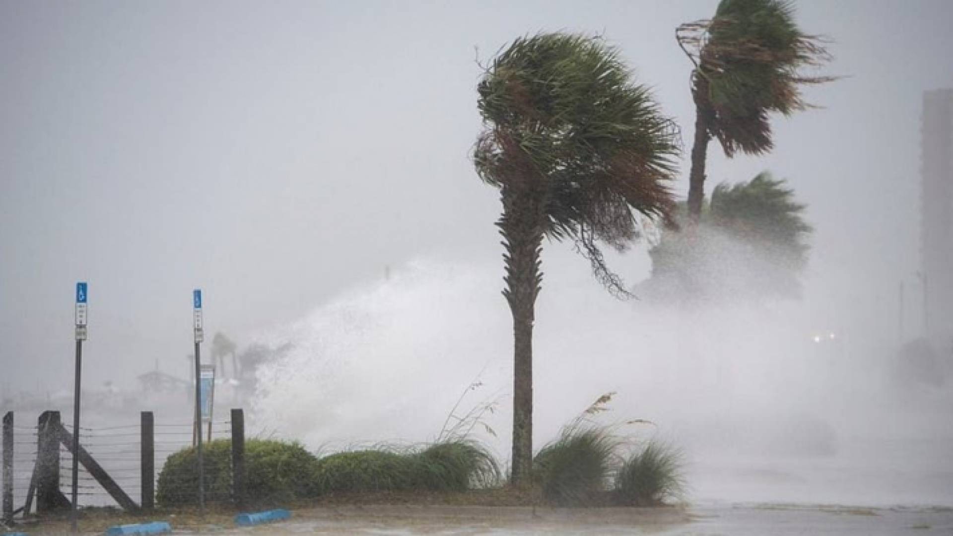 الإعصار سالي