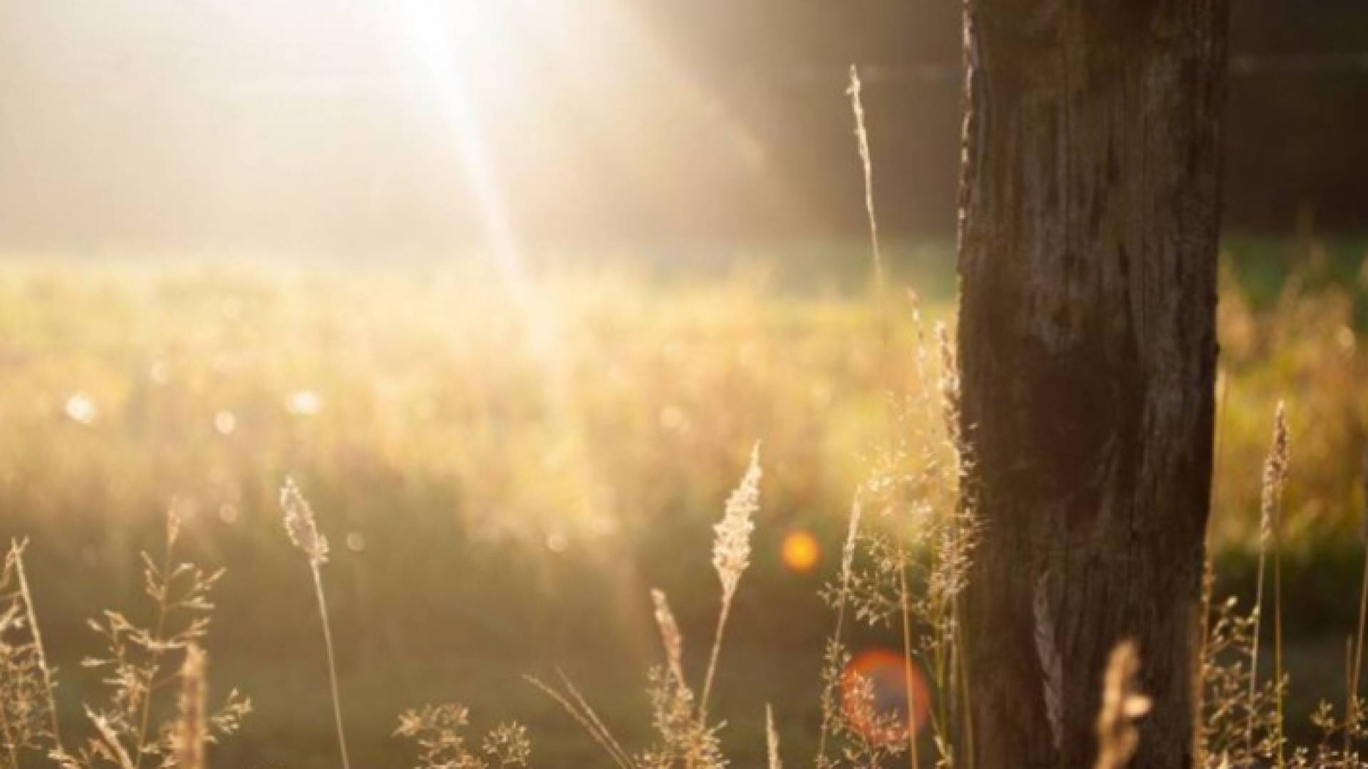 الحرارة أعلى من معدلاتها