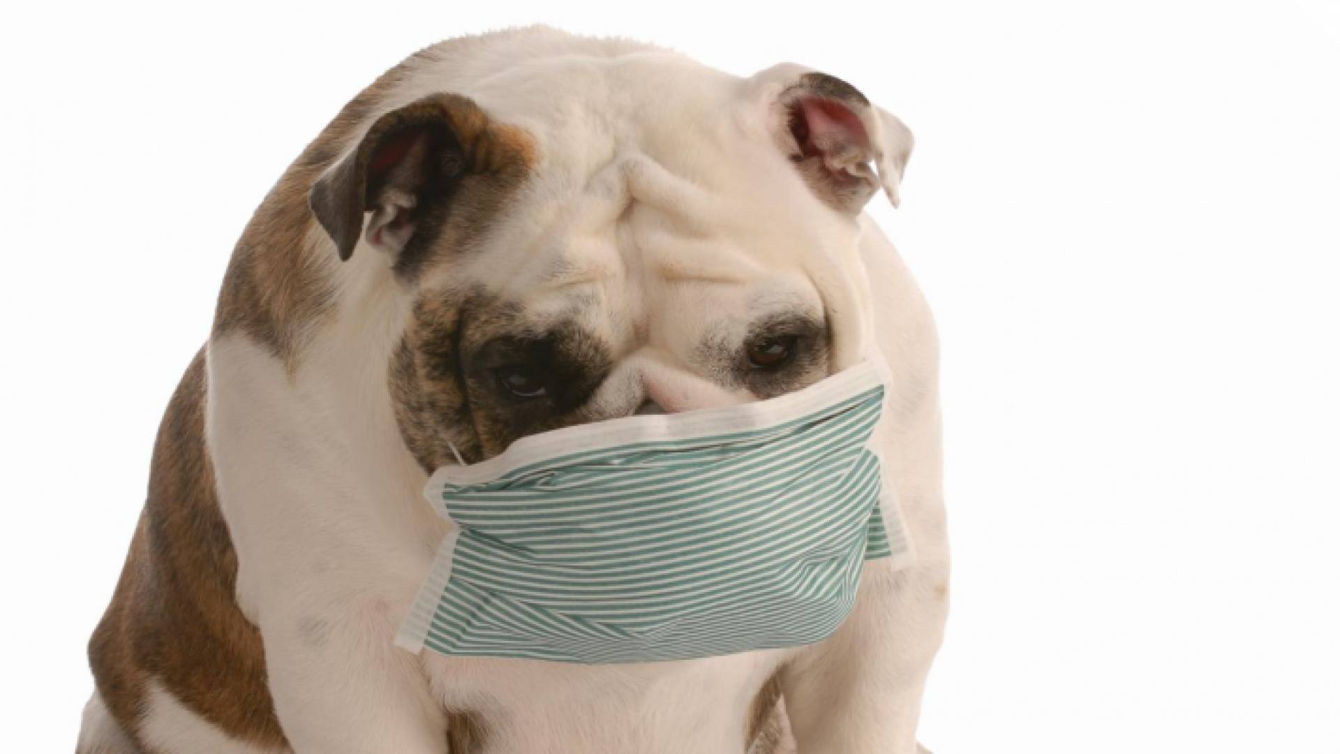 الصورة أرشيفية