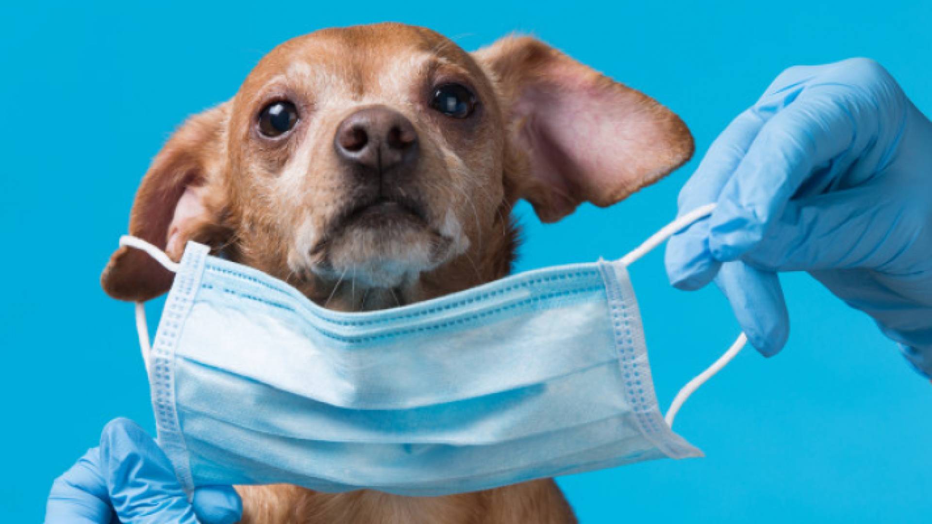 الصورة أرشيفية