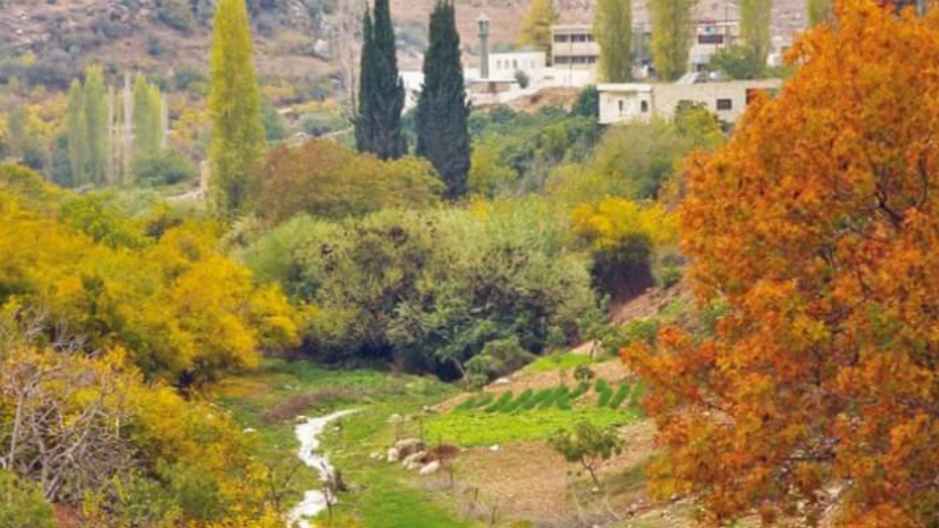 الصورة أرشيفية