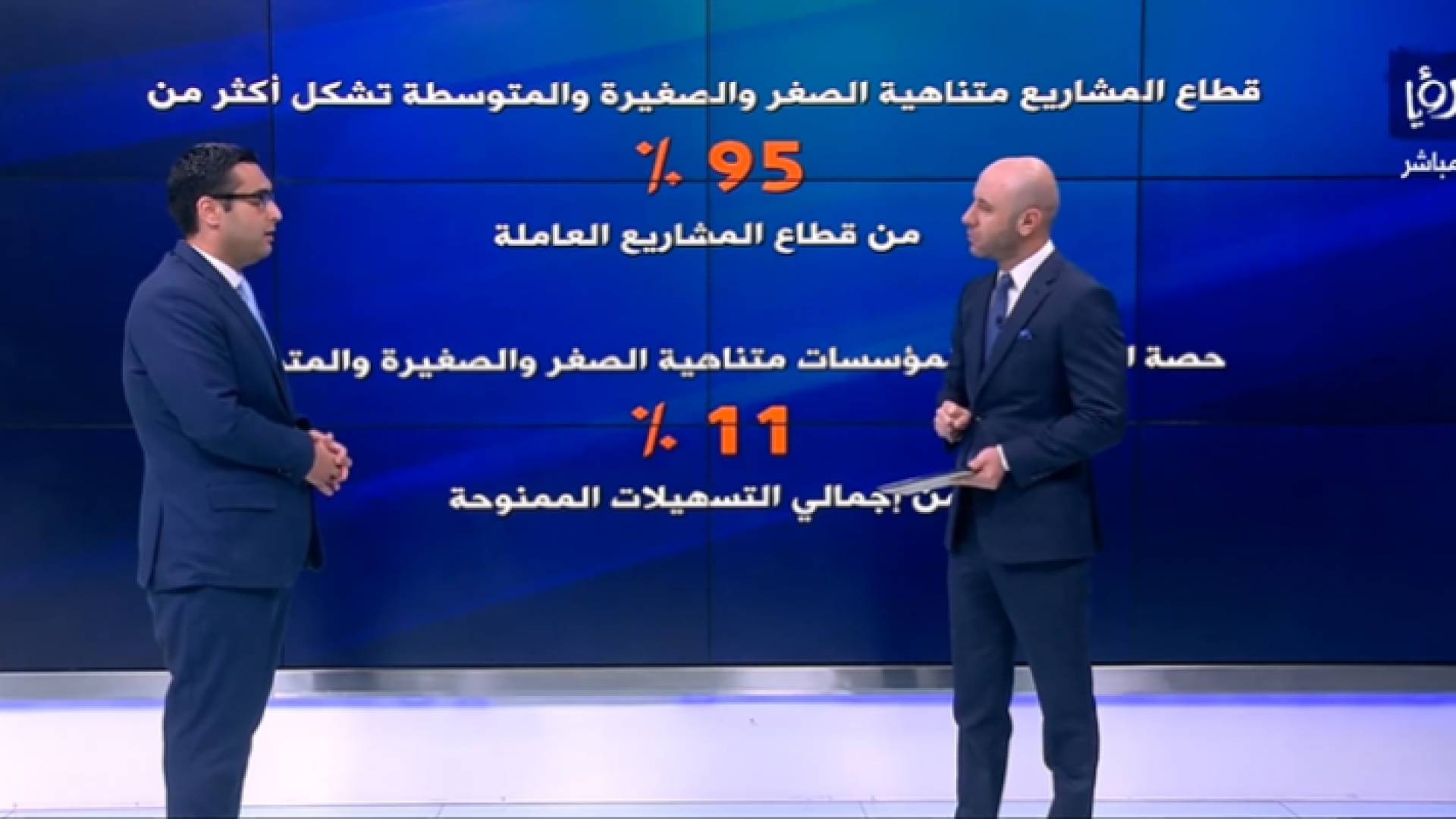خبير في قطاع التمويل: حصة المؤسسات والشركات الصغيرة من إجمالي التسهيلات الممنوحة من قبل الحكومة قليلة جدا