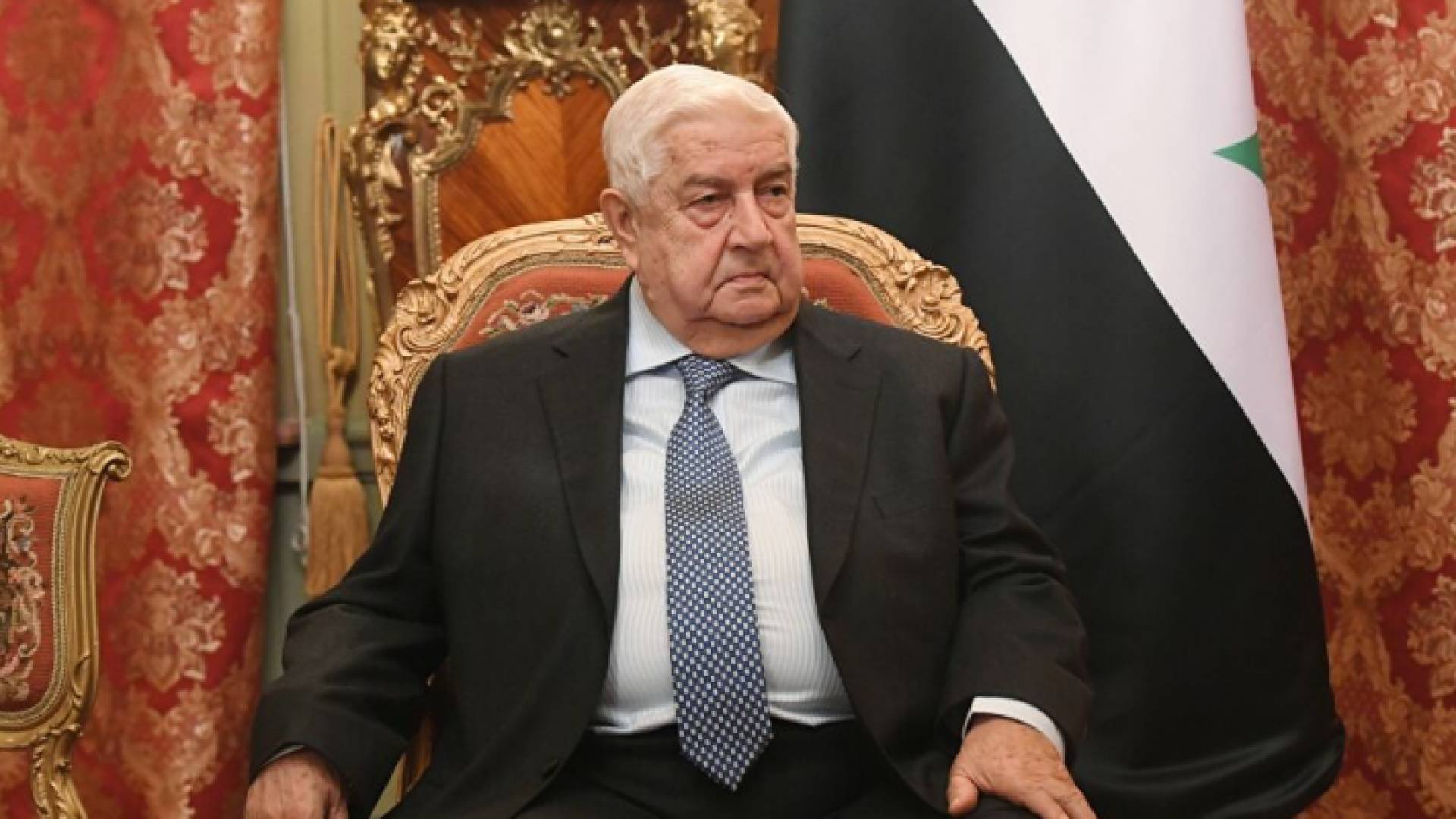 نائب رئيس الوزراء ووزير خارجية سوريا وليد المعلم