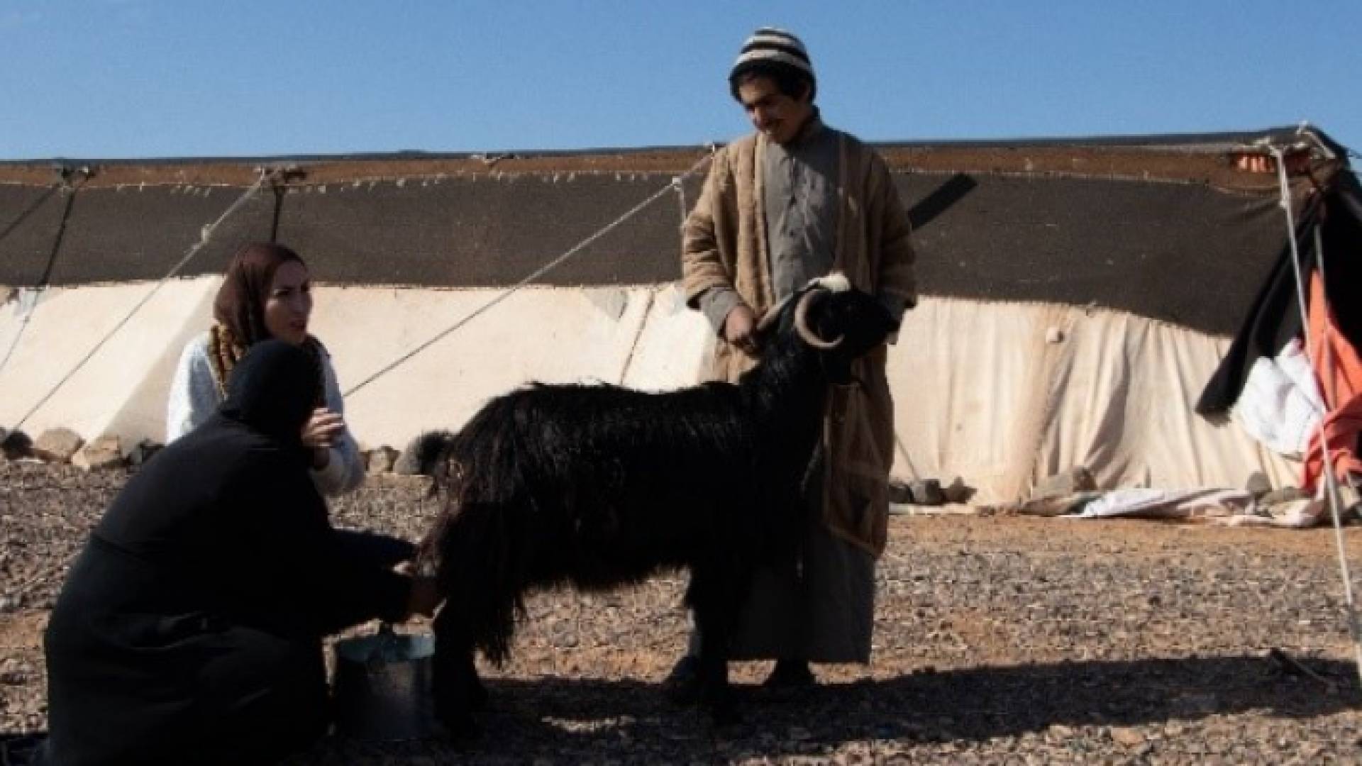 "السياحة التجريبية " أنموذج فريد يحلق بالزائر إلى أماكن جديدة