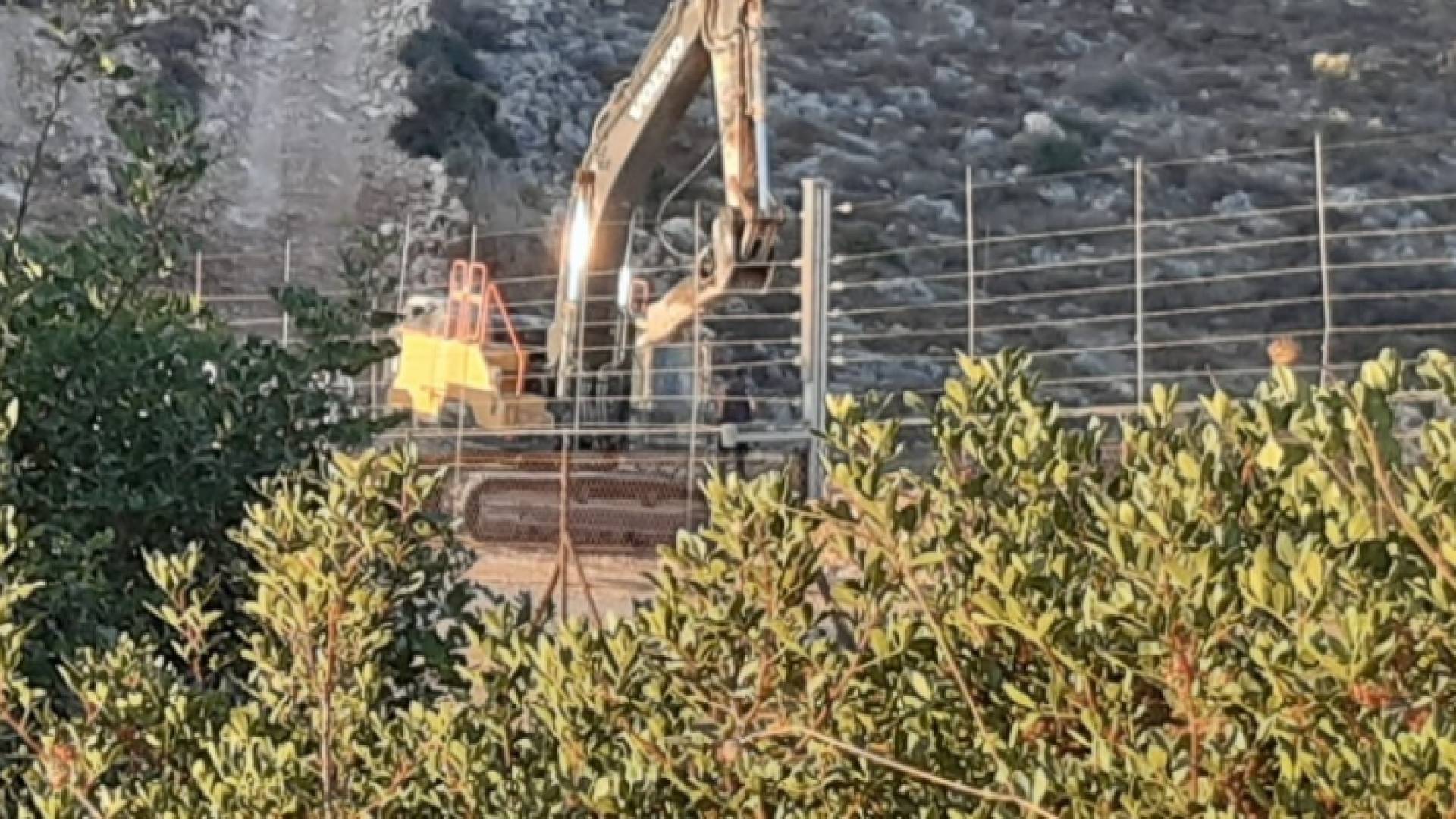 تجريف مساحات واسعة وسرقة ثمار زيتون غرب سلفيت