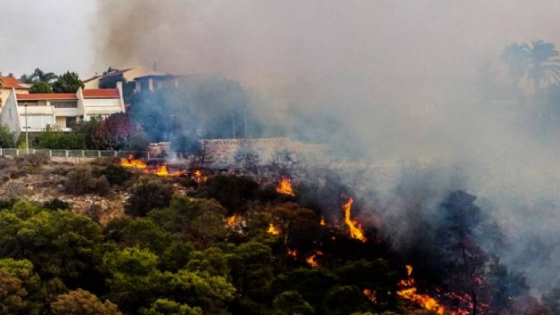 الصورة أرشيفية