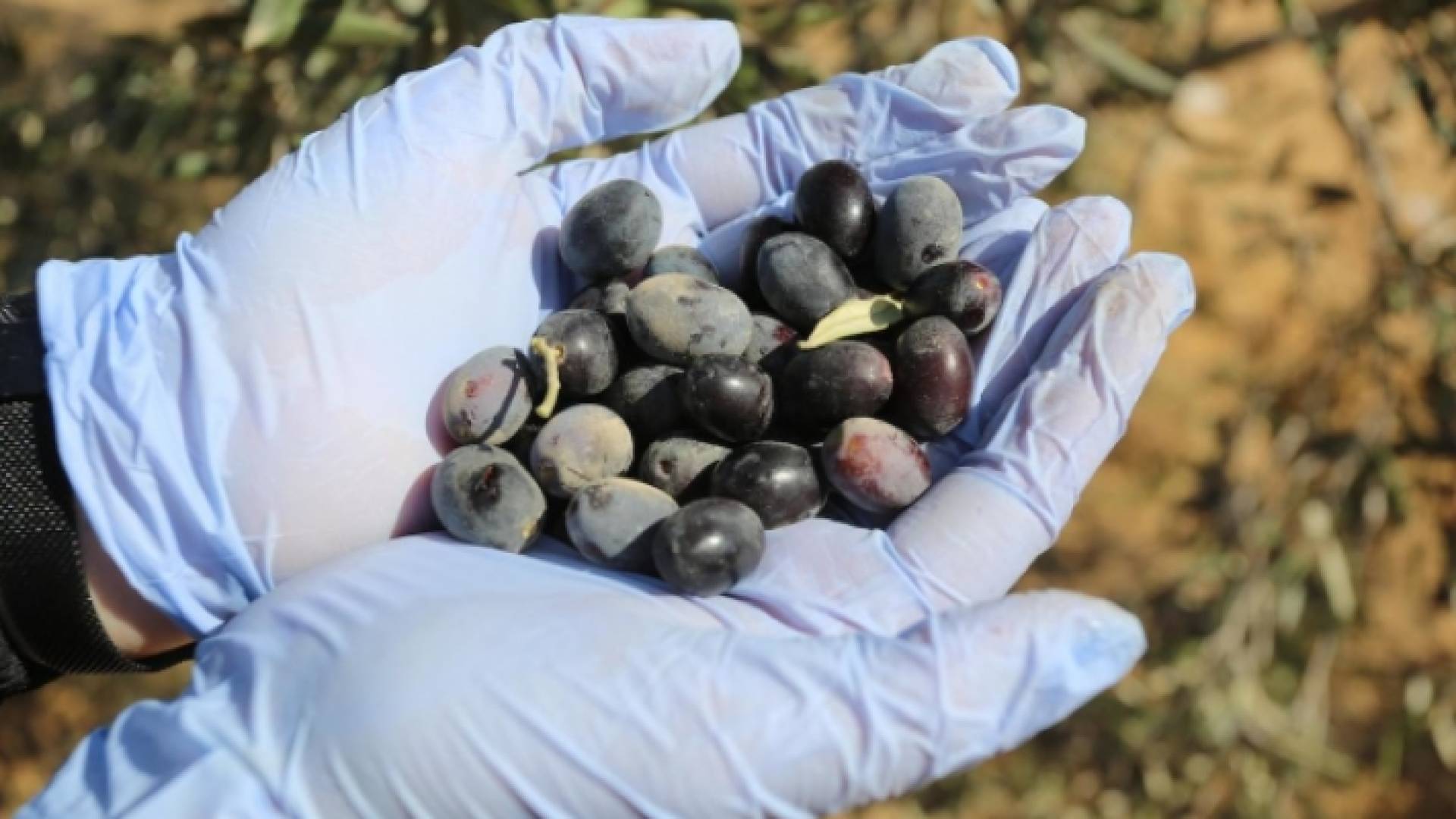 الصورة أرشيفية