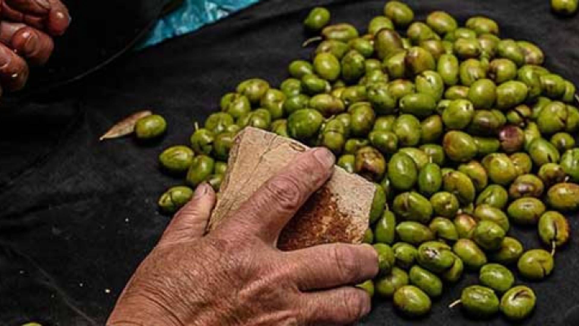 الصورة أرشيفية