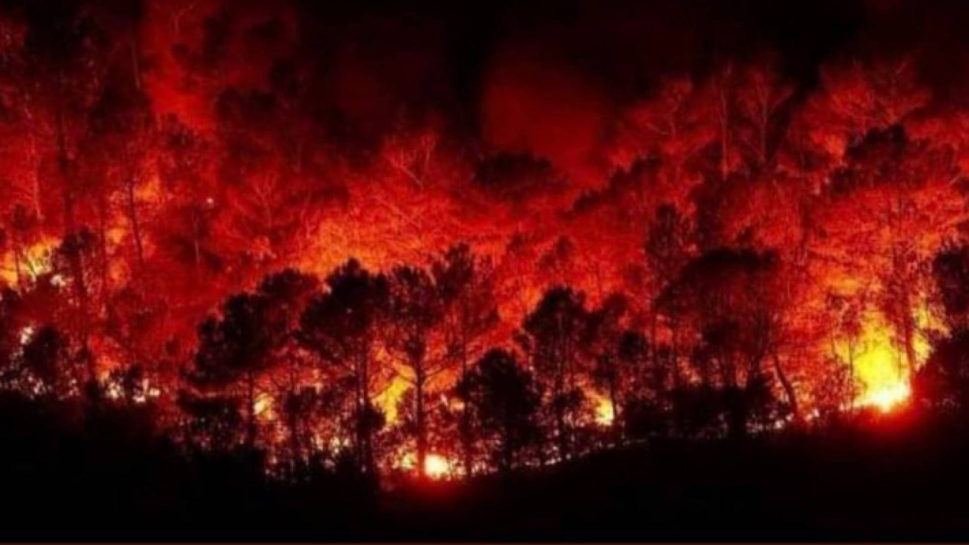 حرائق ضخمة تلتهم مناطق حرجية واسعة في سوريا ولبنان