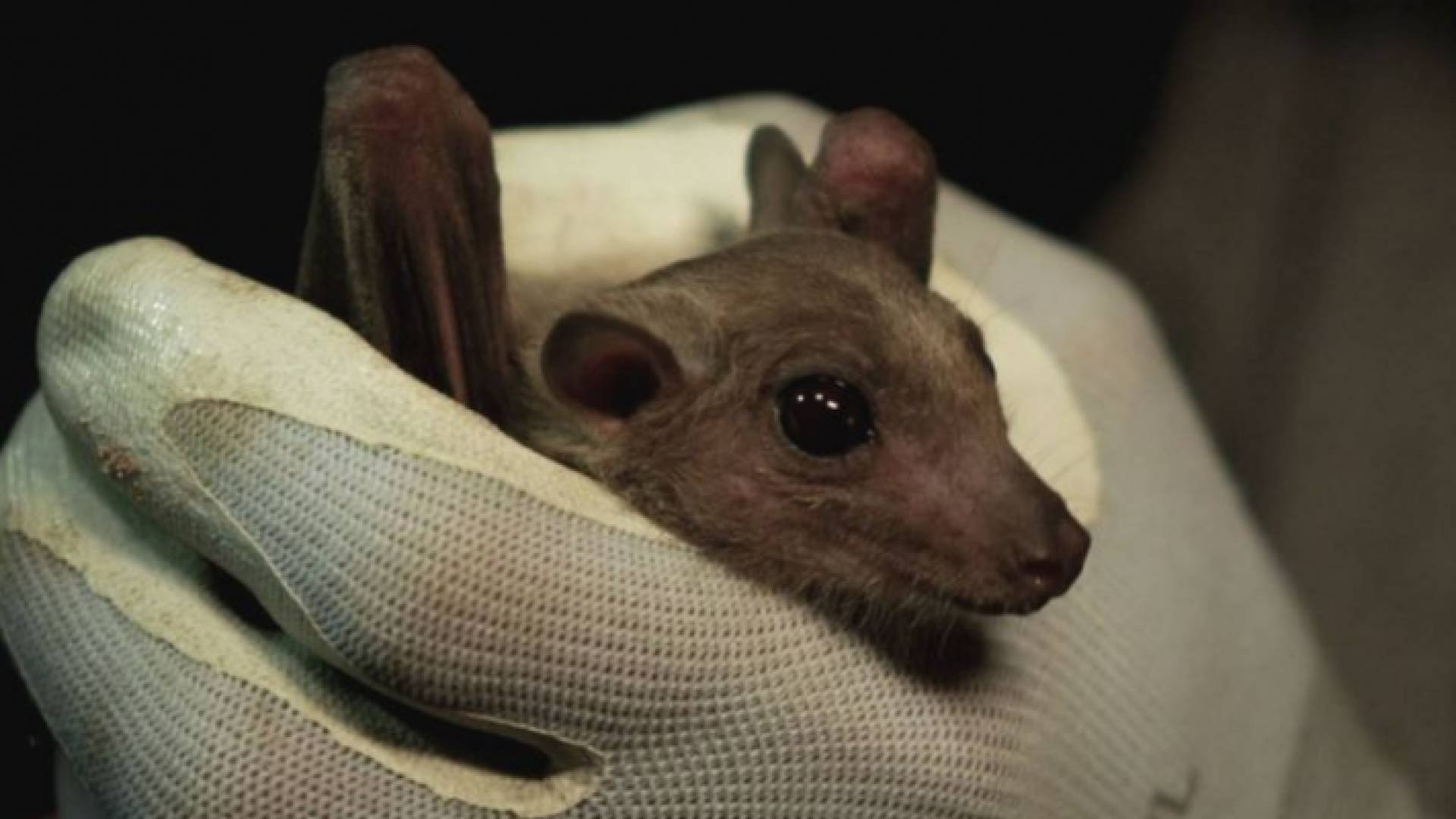 الصورة أرشيفية