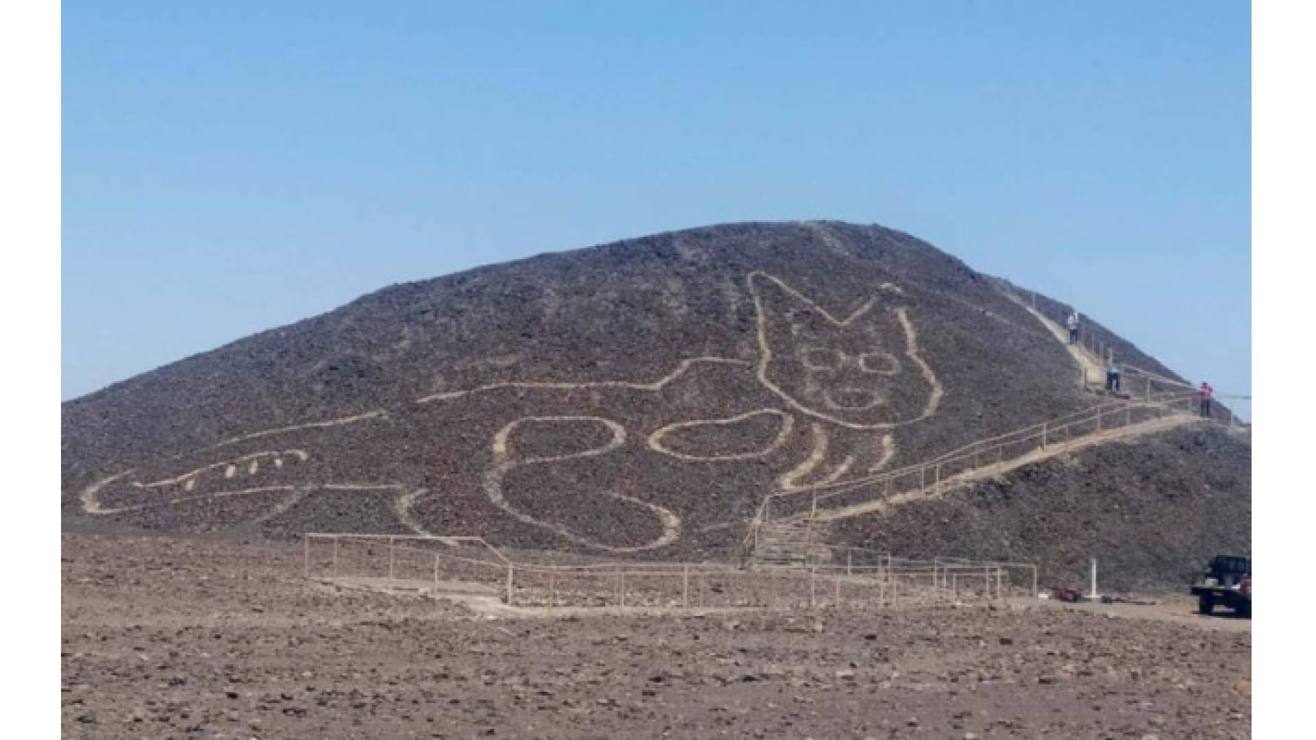 اكتشاف نقش قديم لقط عملاق في صحراء بيرو