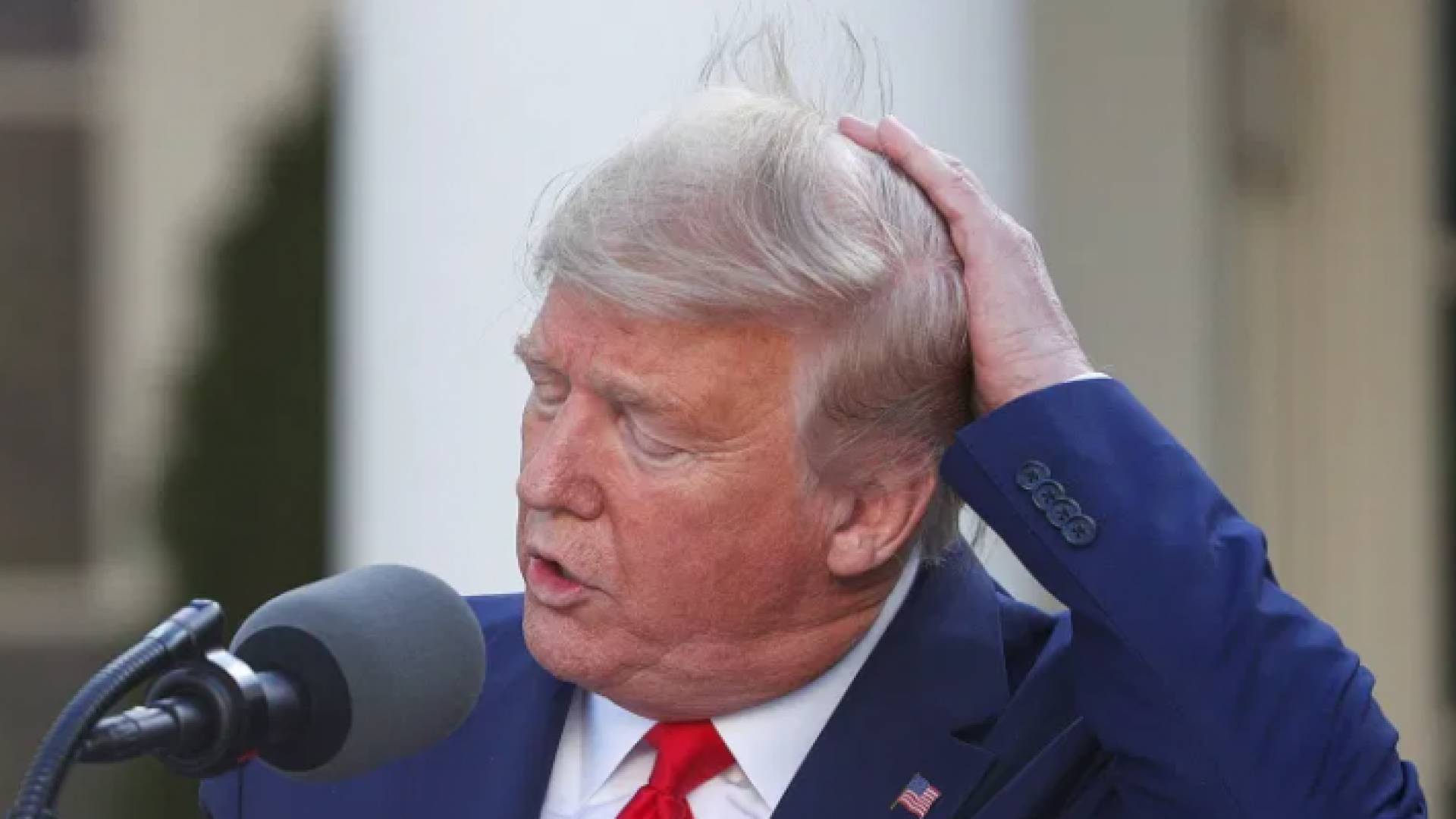 الرئيس الأمريكي دونالد ترمب