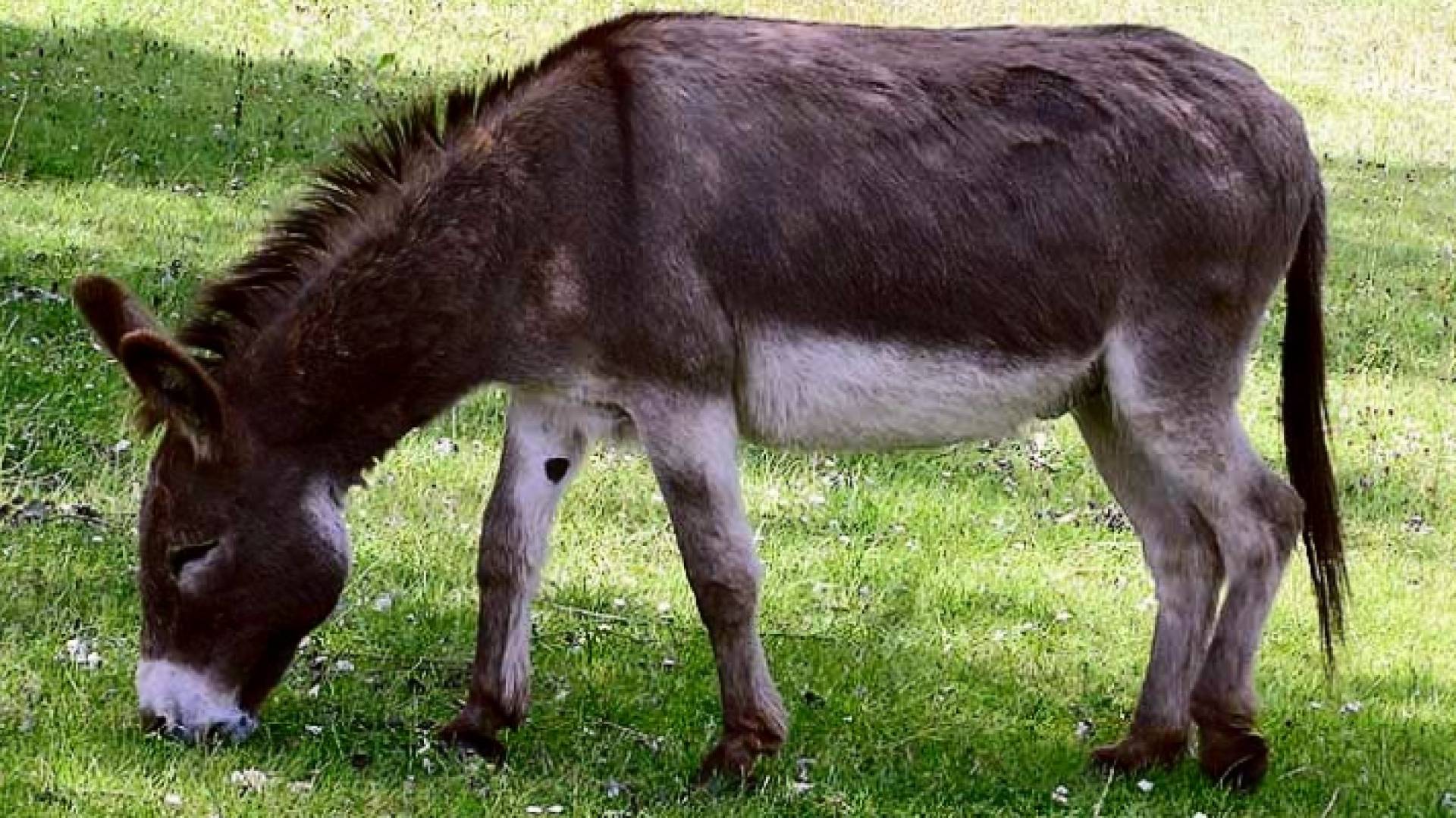 الصورة أرشيفية