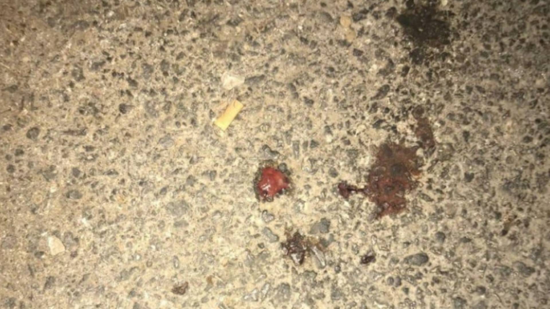 من موقع الحادثة