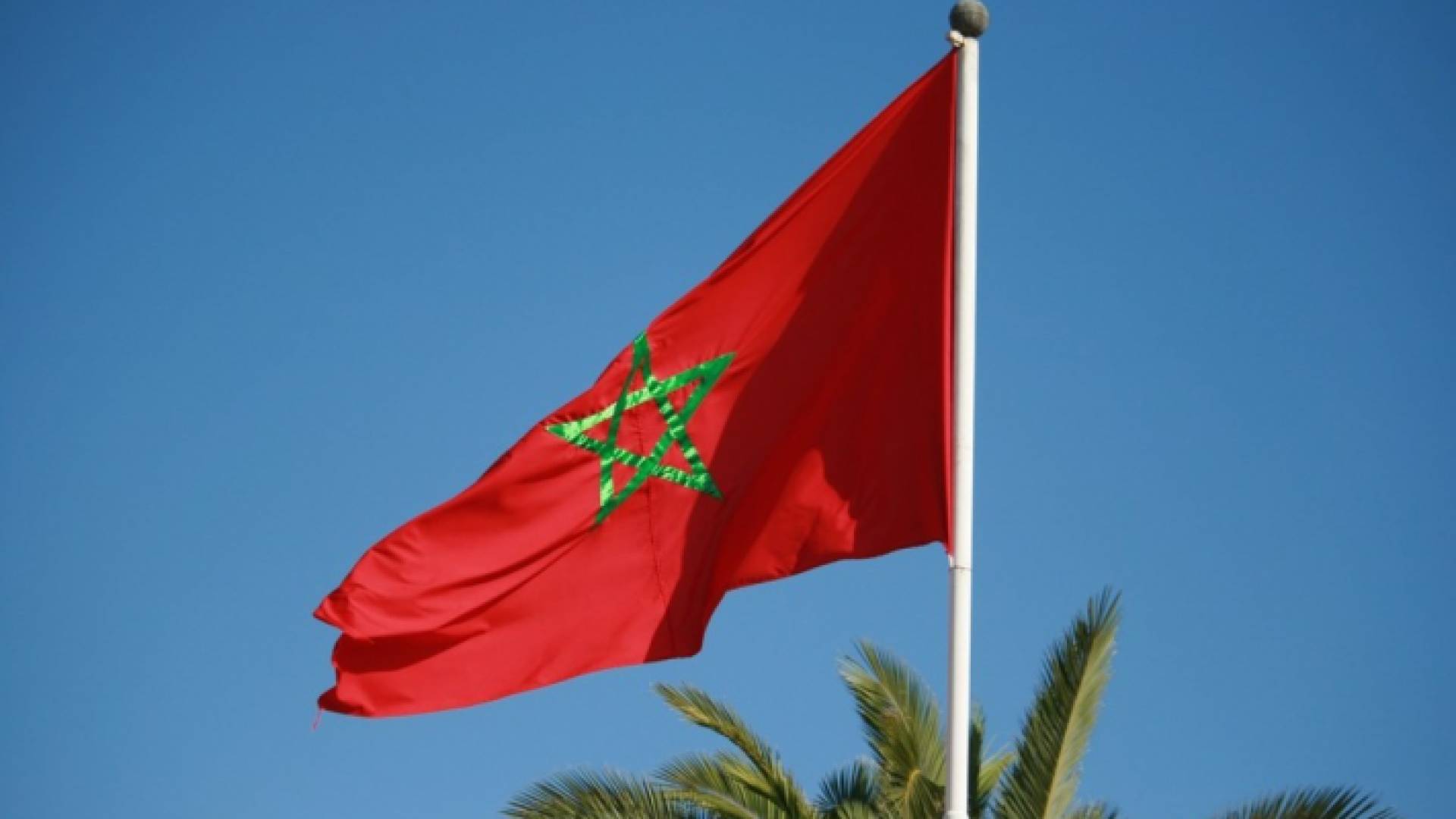 علم المغرب