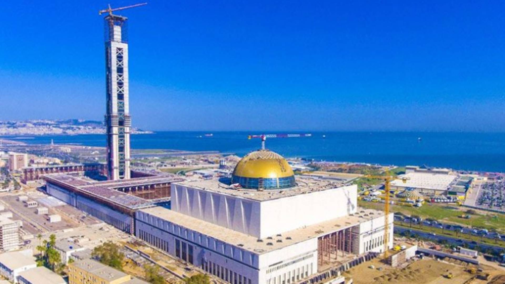 جامع الجزائر