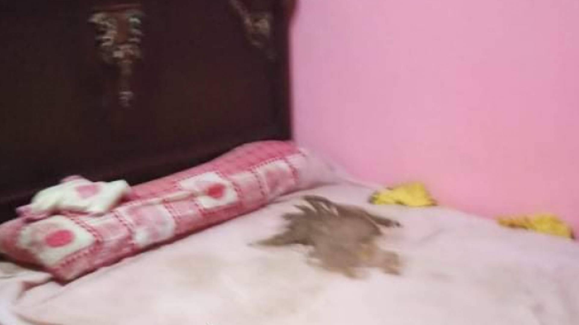 الطفل الرضيع تحللت جثته