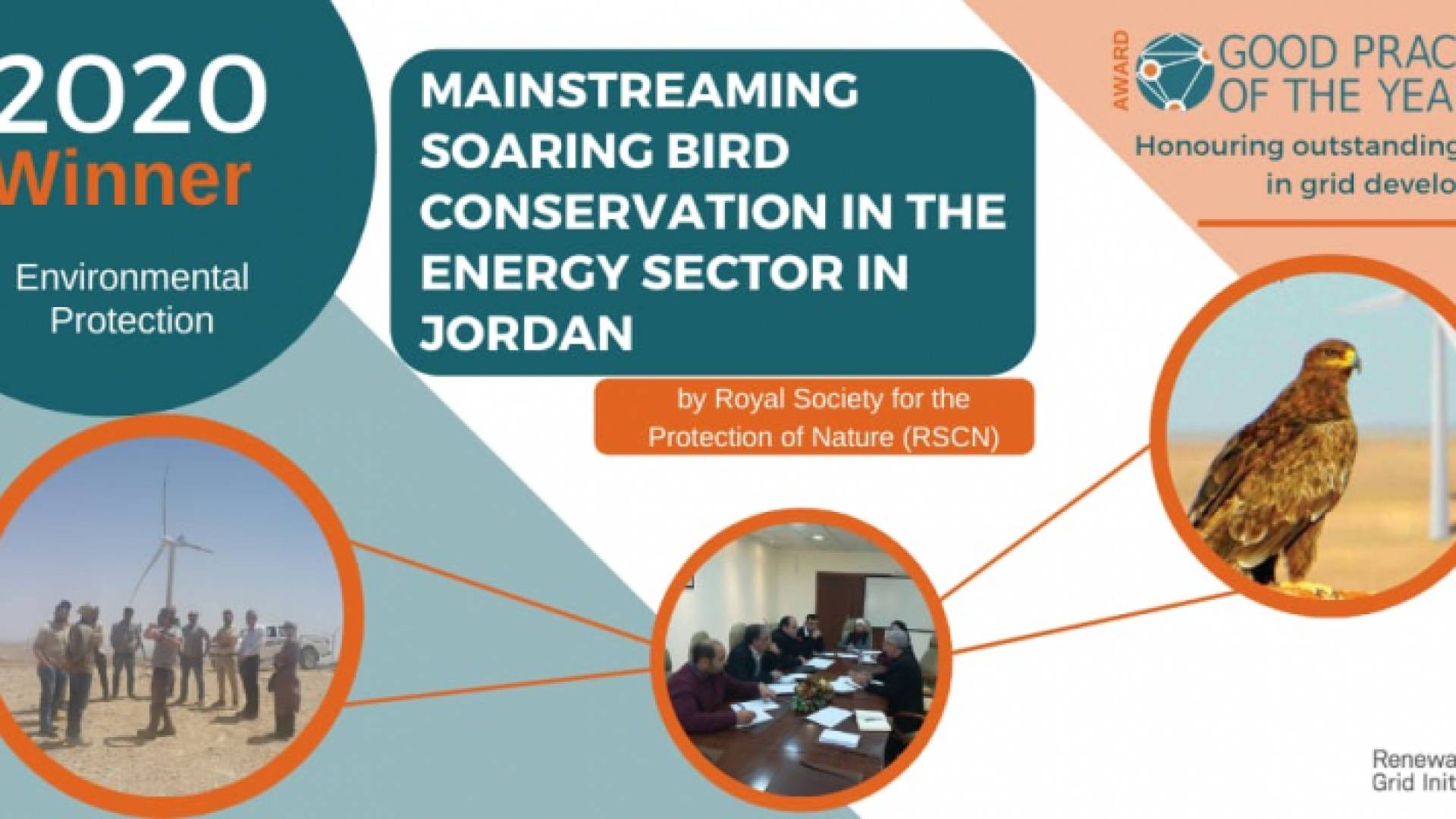 "حماية الطبيعة" تحصد جائزة عالمية من خلال مشروع الطيور الحوامة المهاجرة