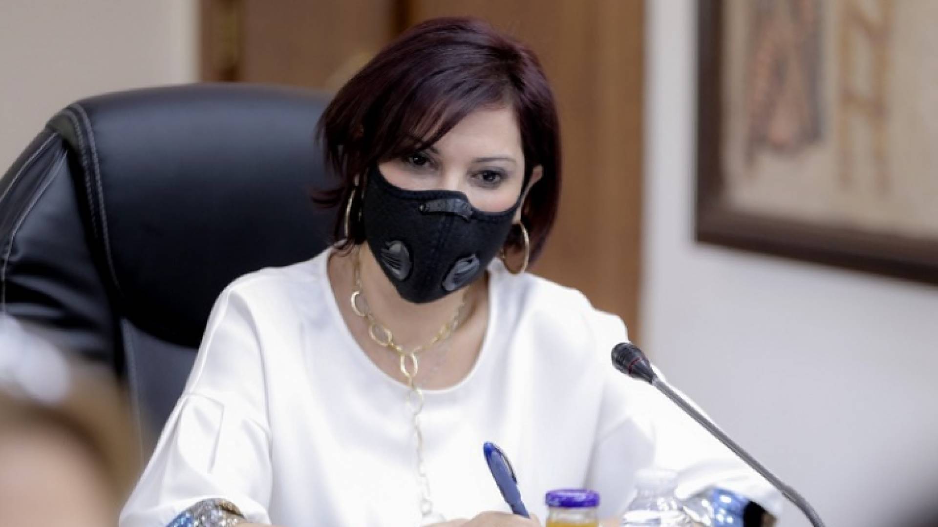 الوزيرة مجد شويكة