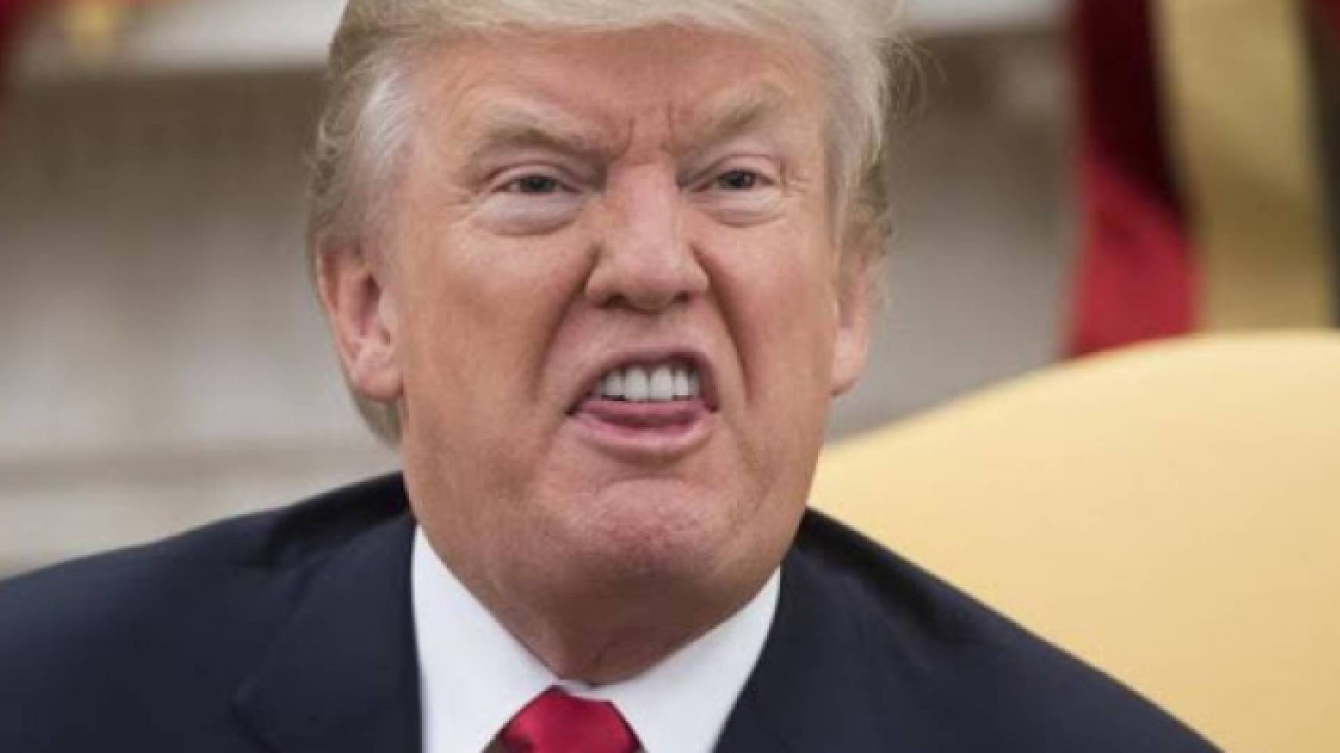 الرئيس دونالد ترمب