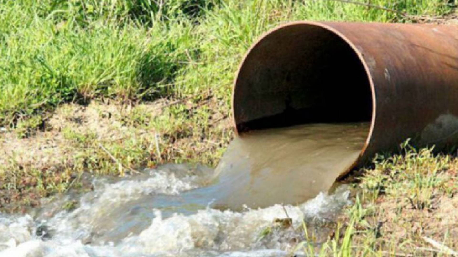 الصورة أرشيفية