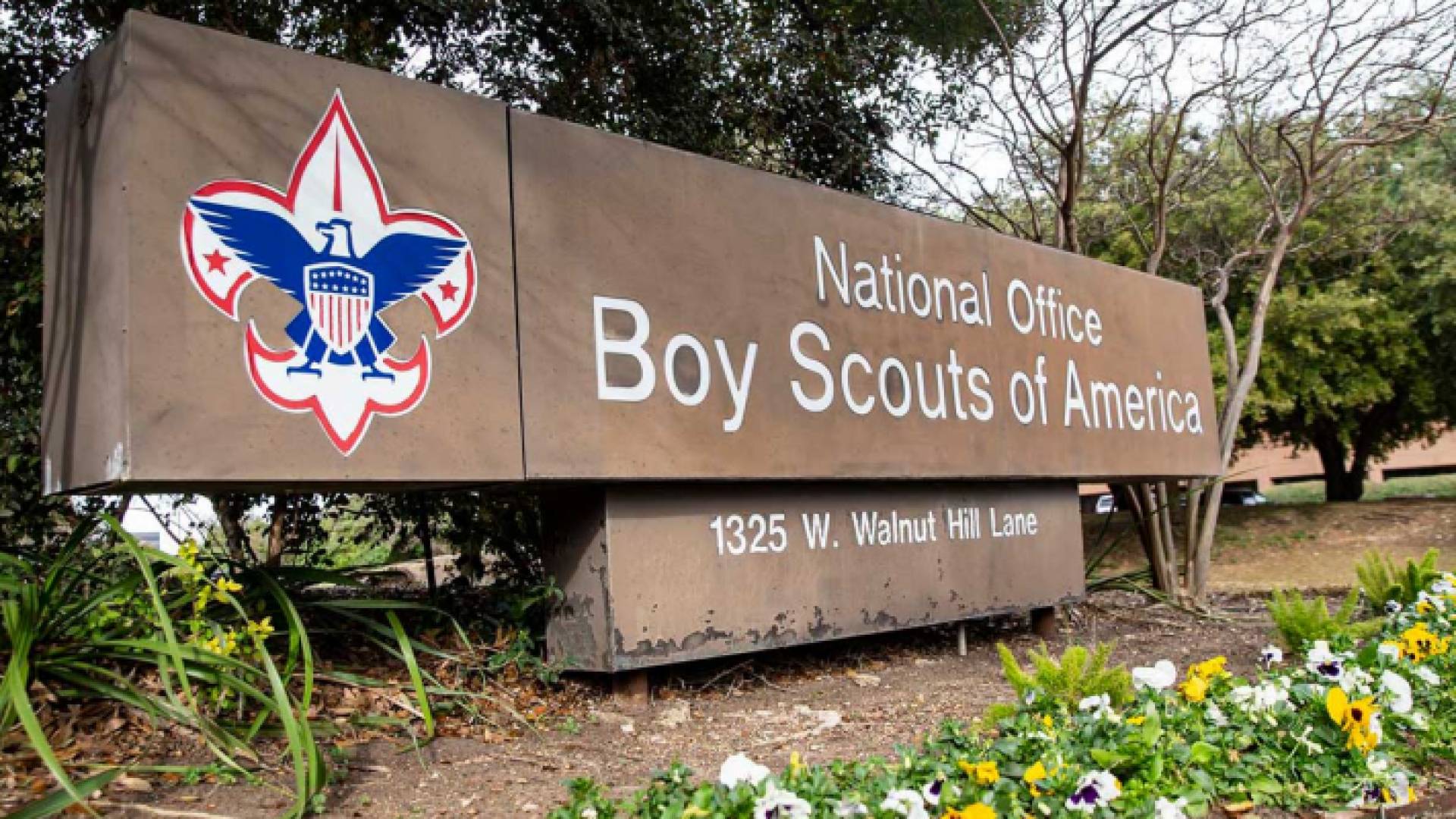 بوي سكاوتس أوف أميركا