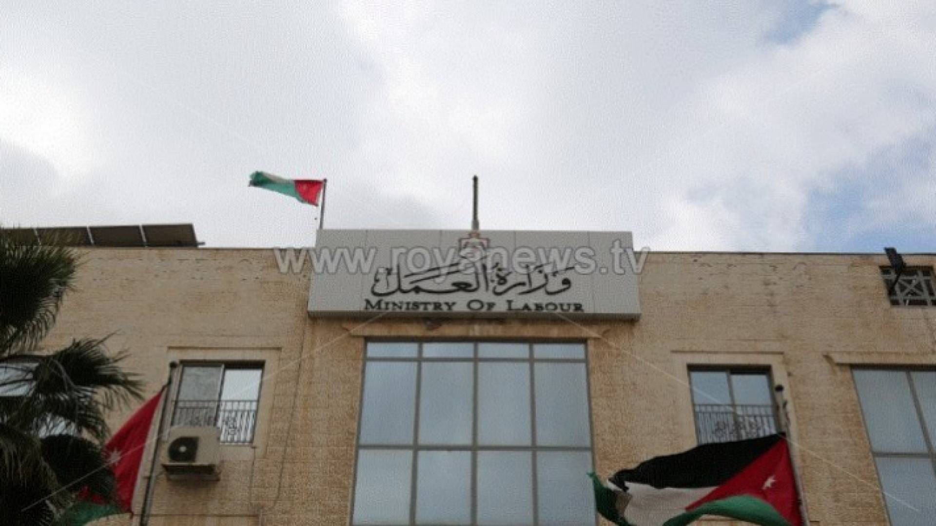 ارشيفية