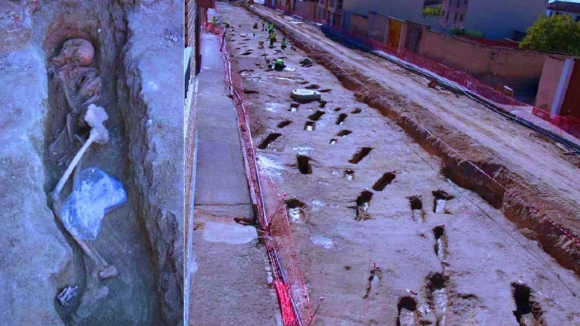 ارشيفية