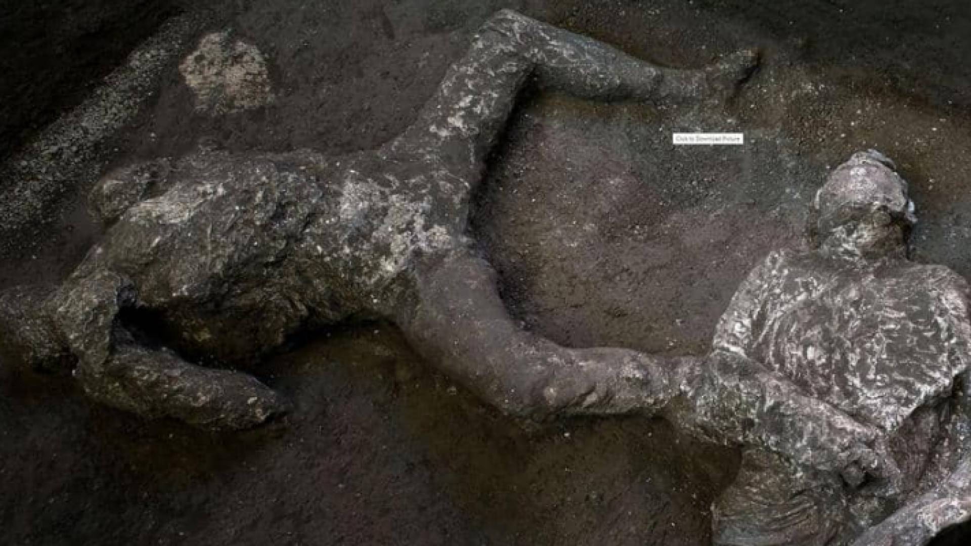 صور متداولة للرفاتين