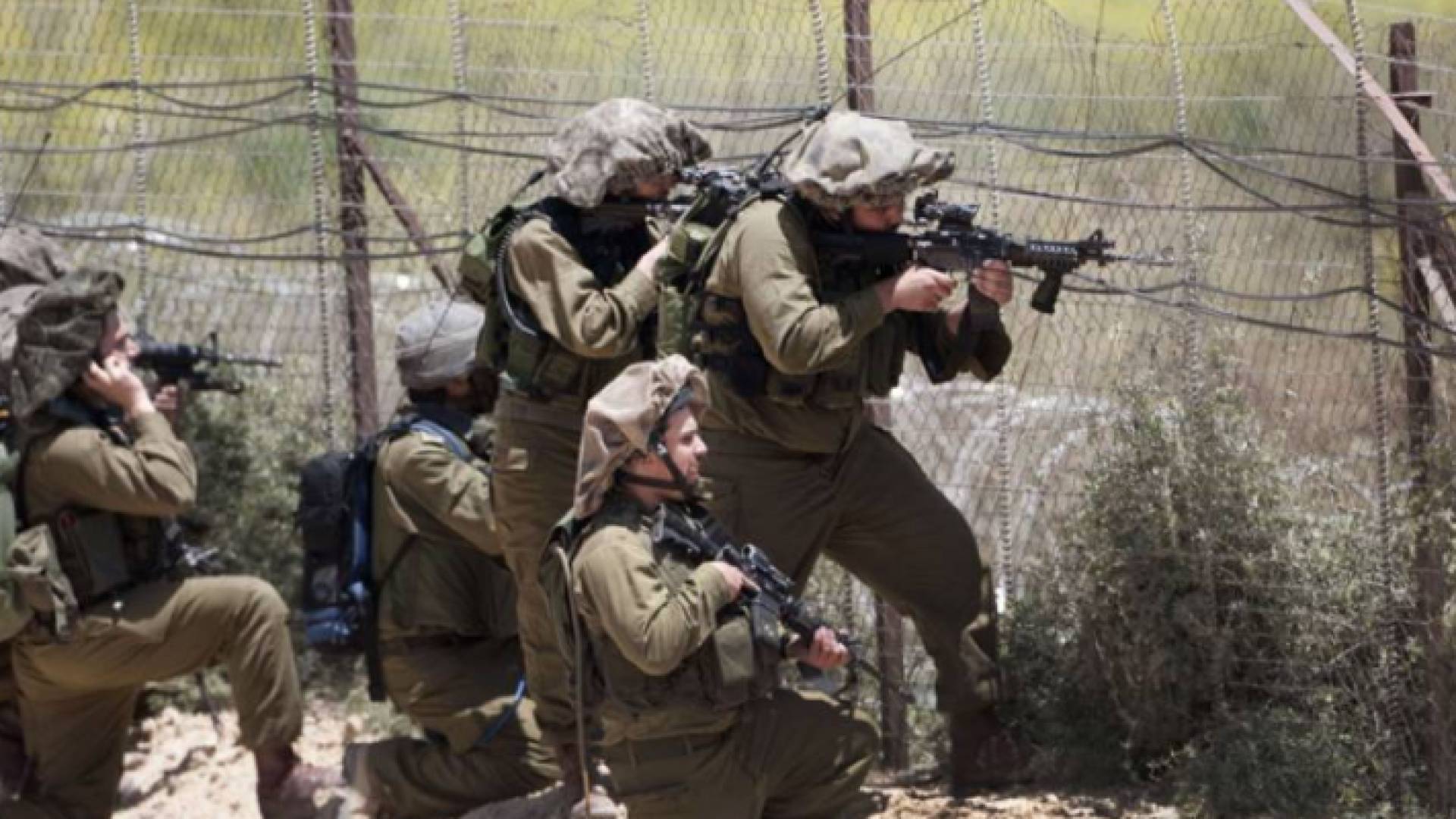 الصورة أرشيفية