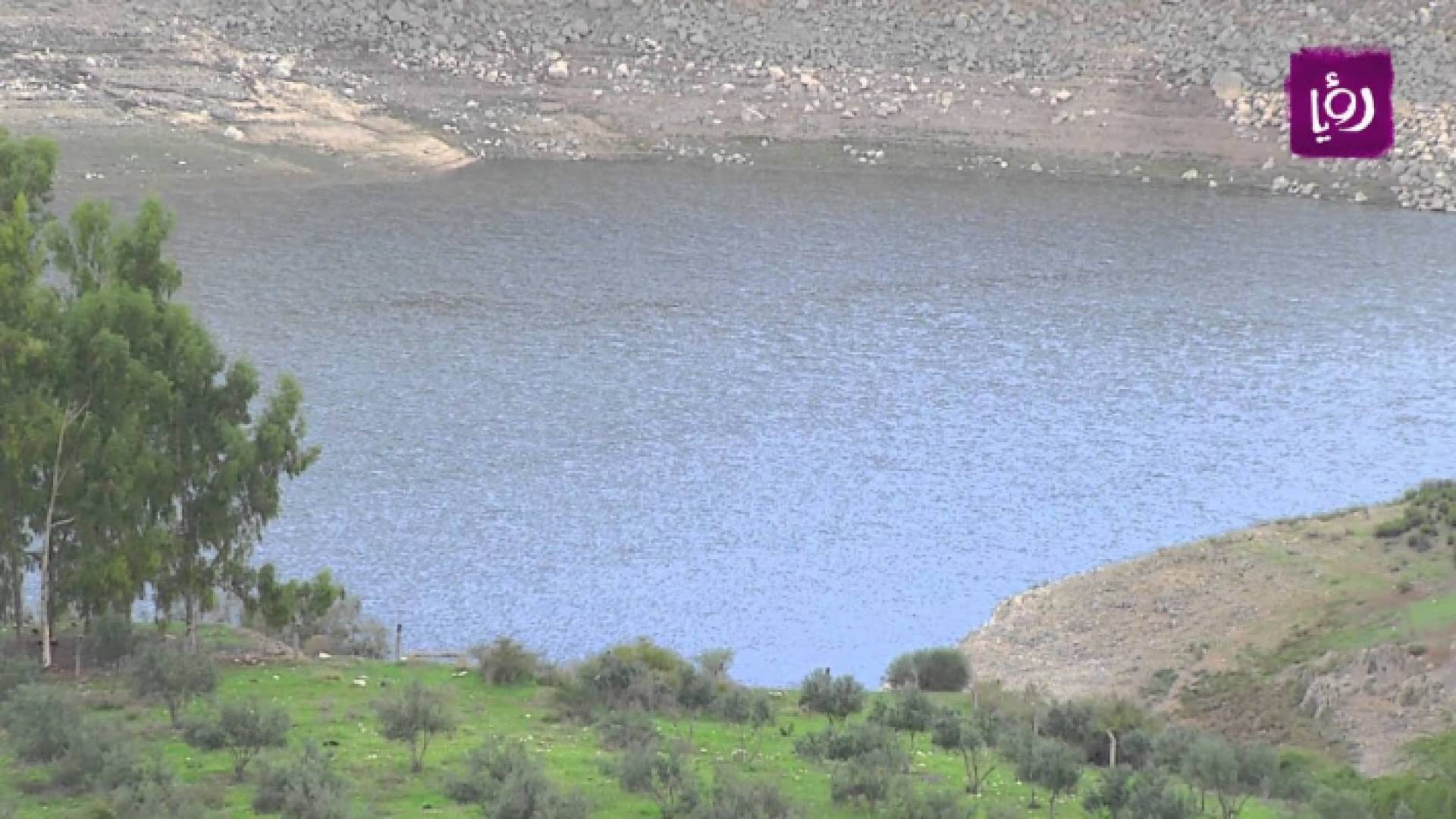 ارشيفية