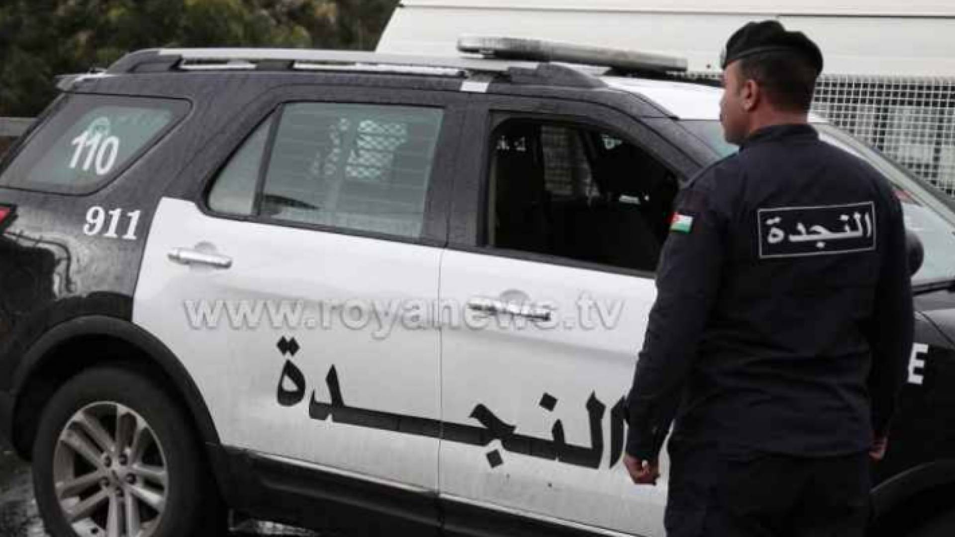 ارشيفية