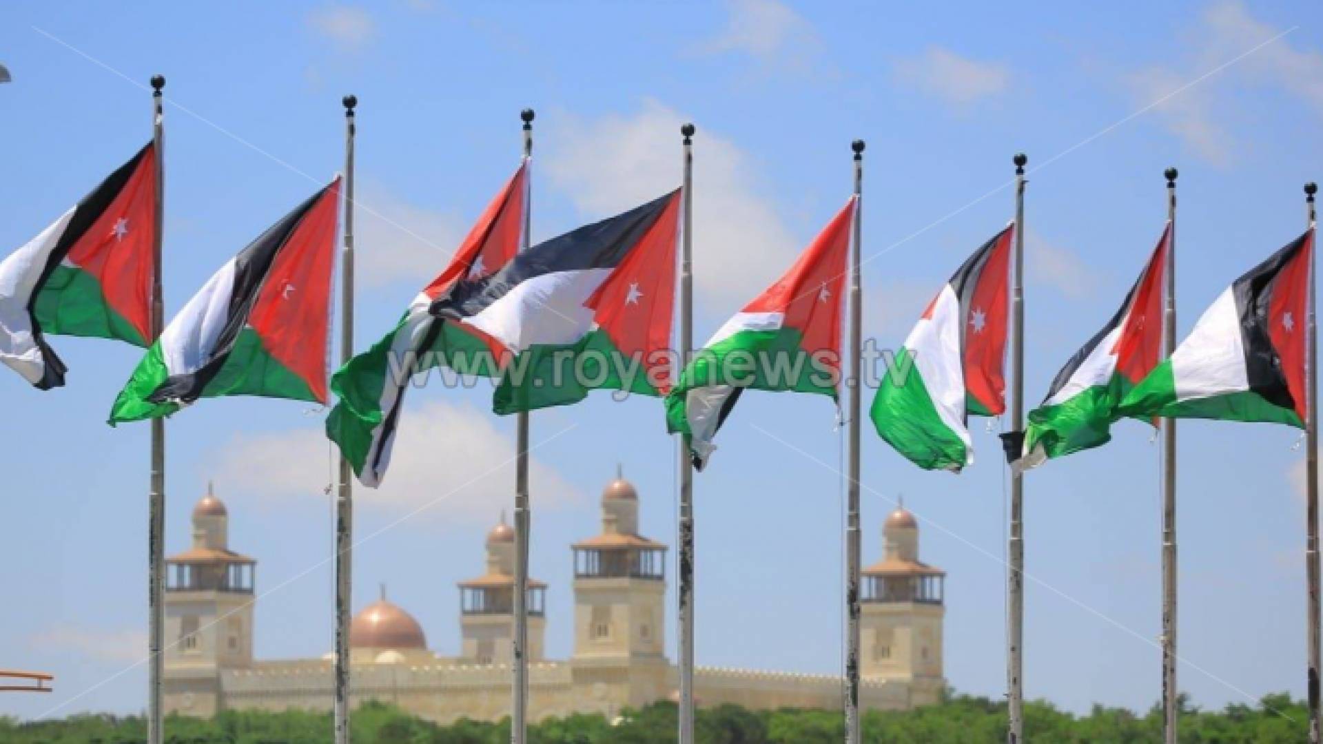 ارشيفية