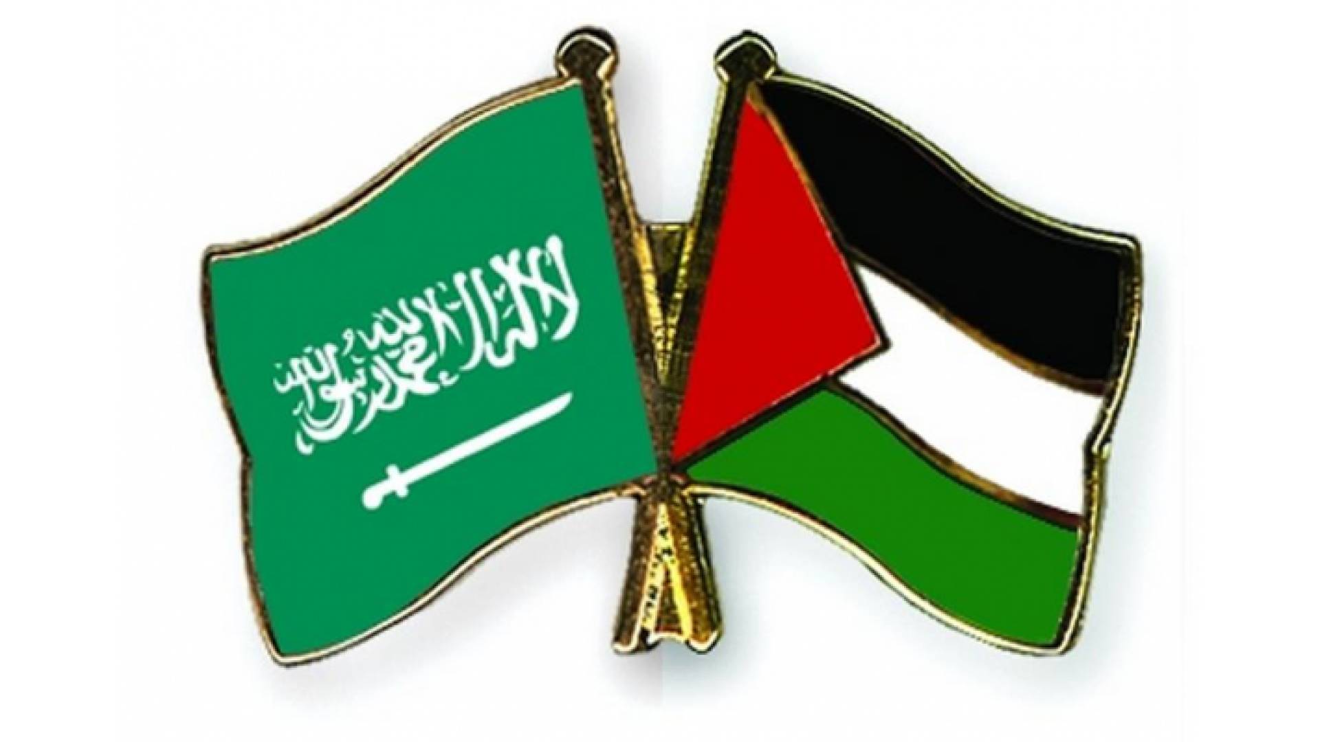 ارشيفية