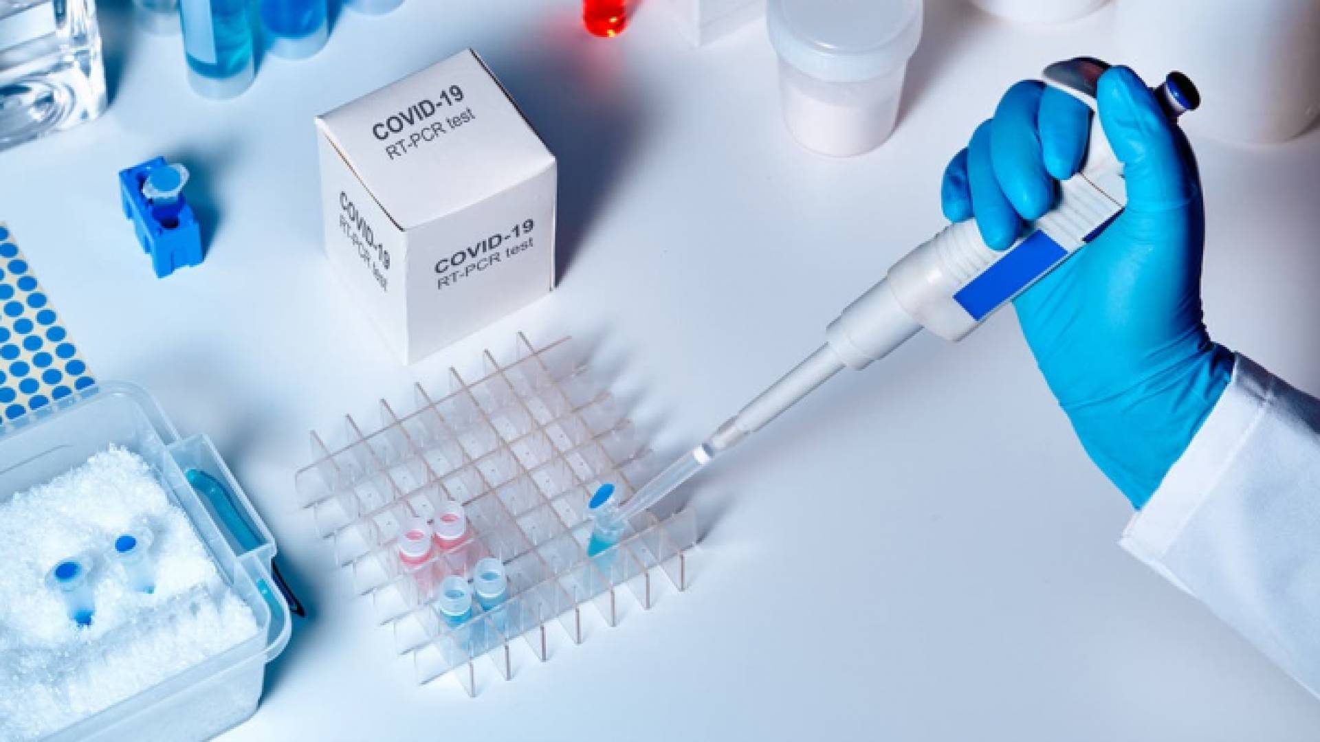 الصورة أرشيفية