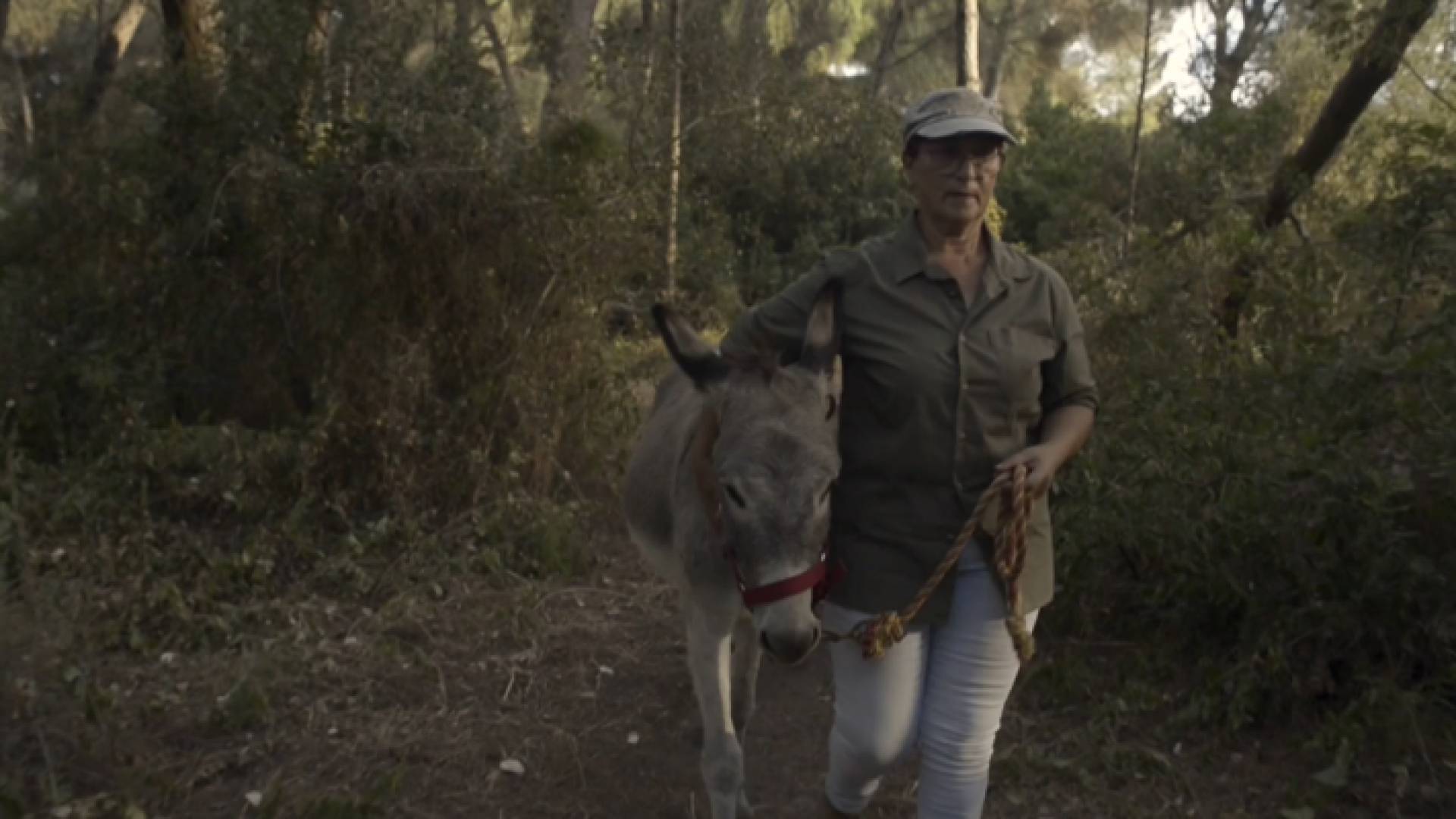 صورة من الفيديو