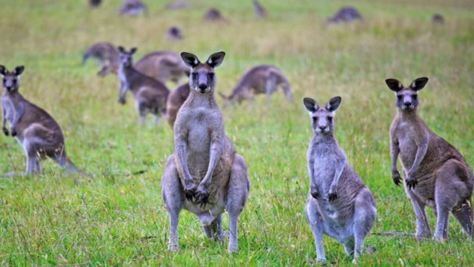 الصورة أرشيفية