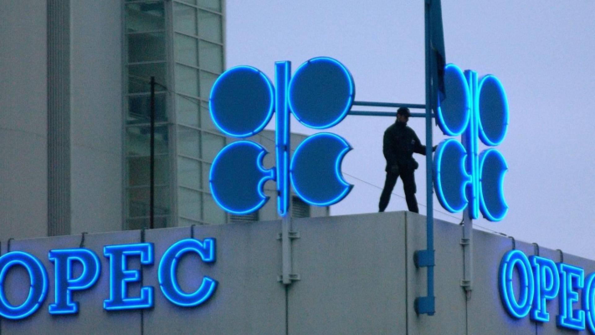 الصورة أرشيفية