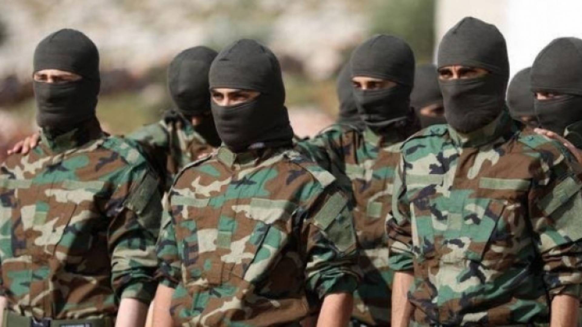 ارشيفية