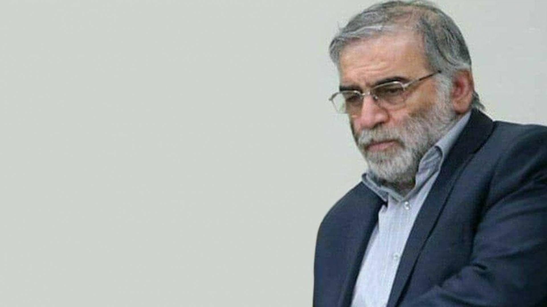 محسن فخري زاده