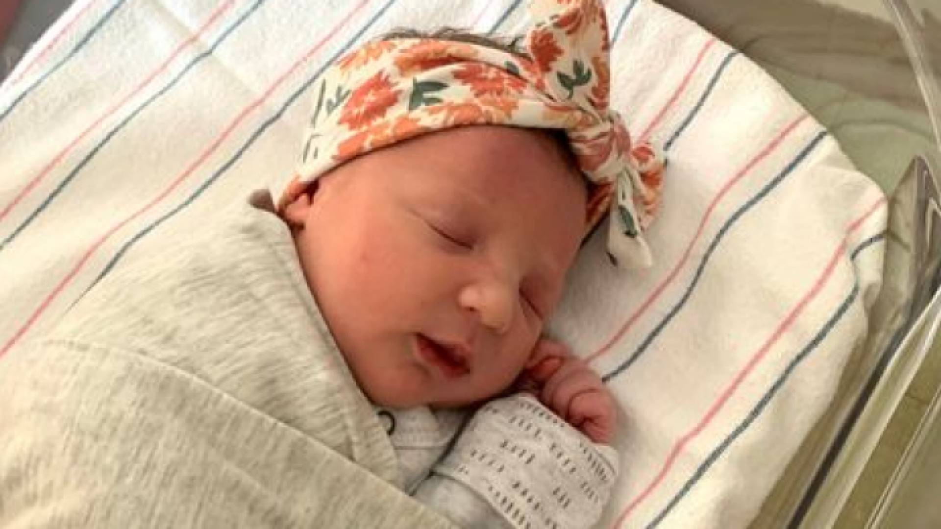 الطفلة مولي إيفريت غيبسون