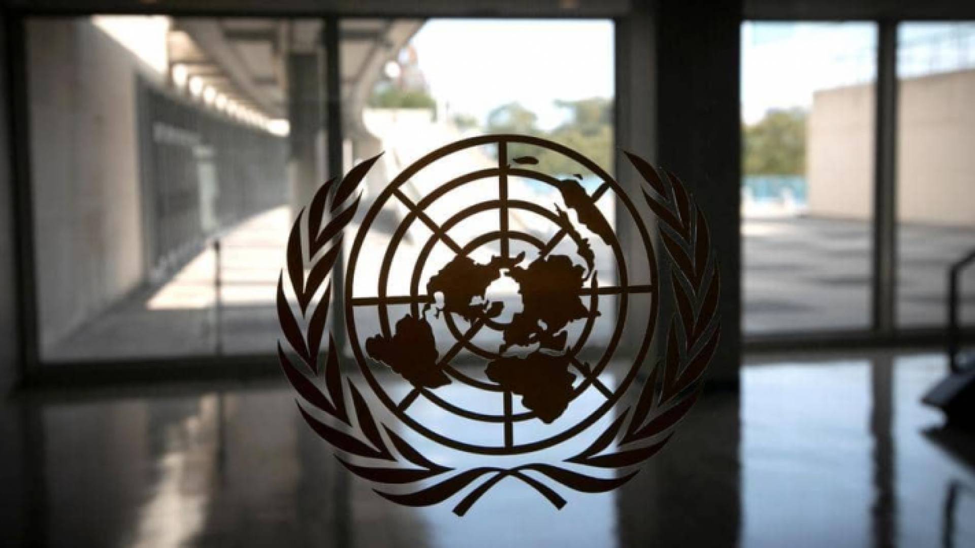 شعار الأمم المتحدة