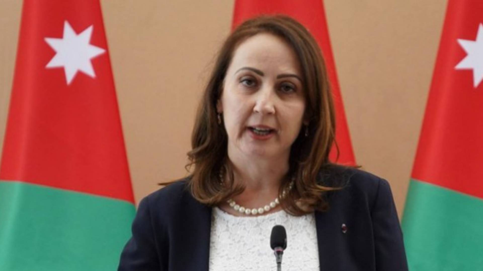 وزيرة الصناعة - ارشيفية