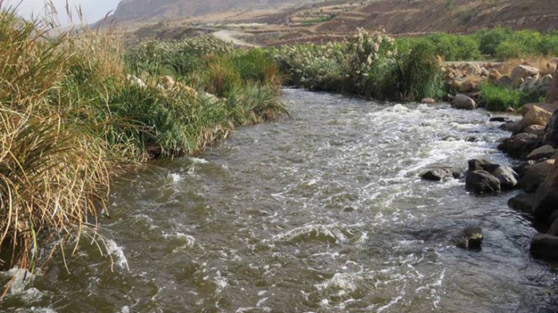 سيل الزرقاء