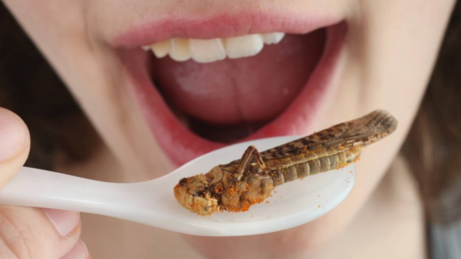 الصورة أرشيفية