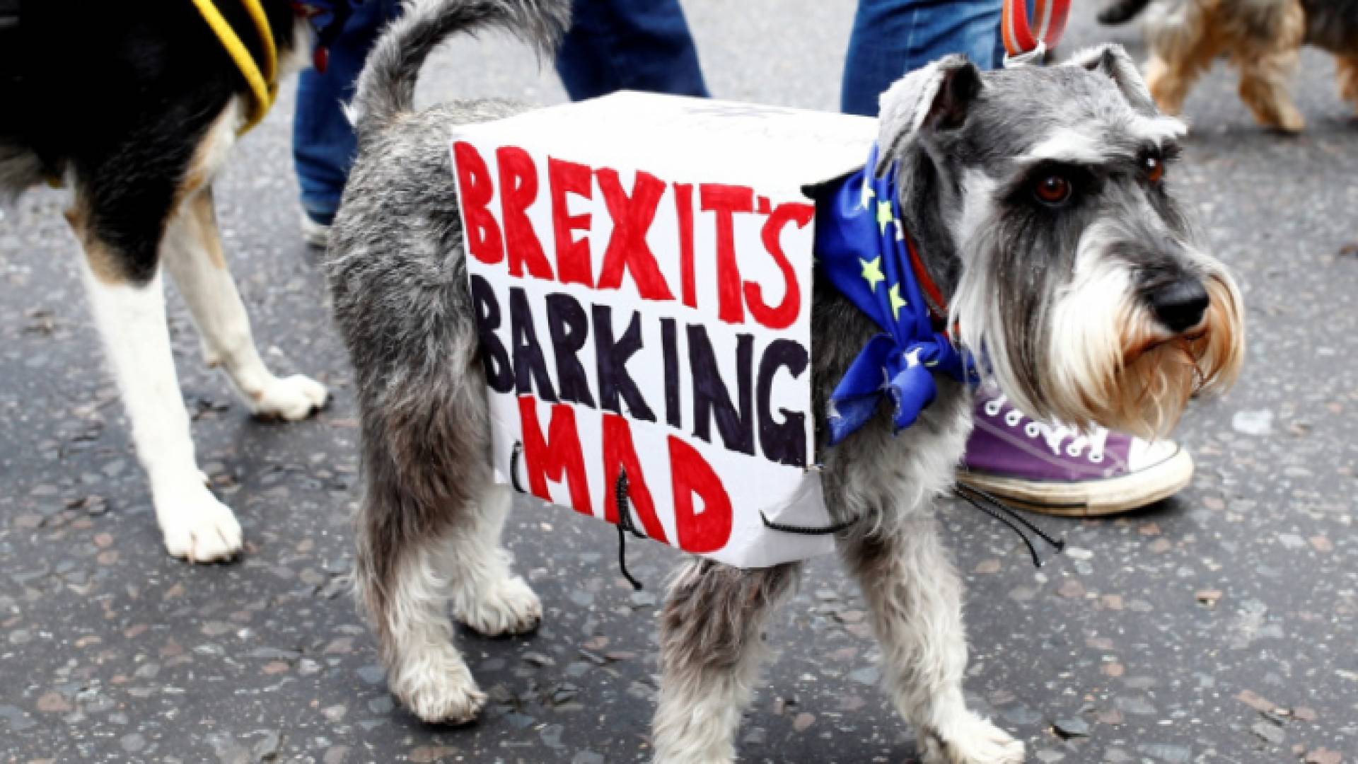 الصورة أرشيفية