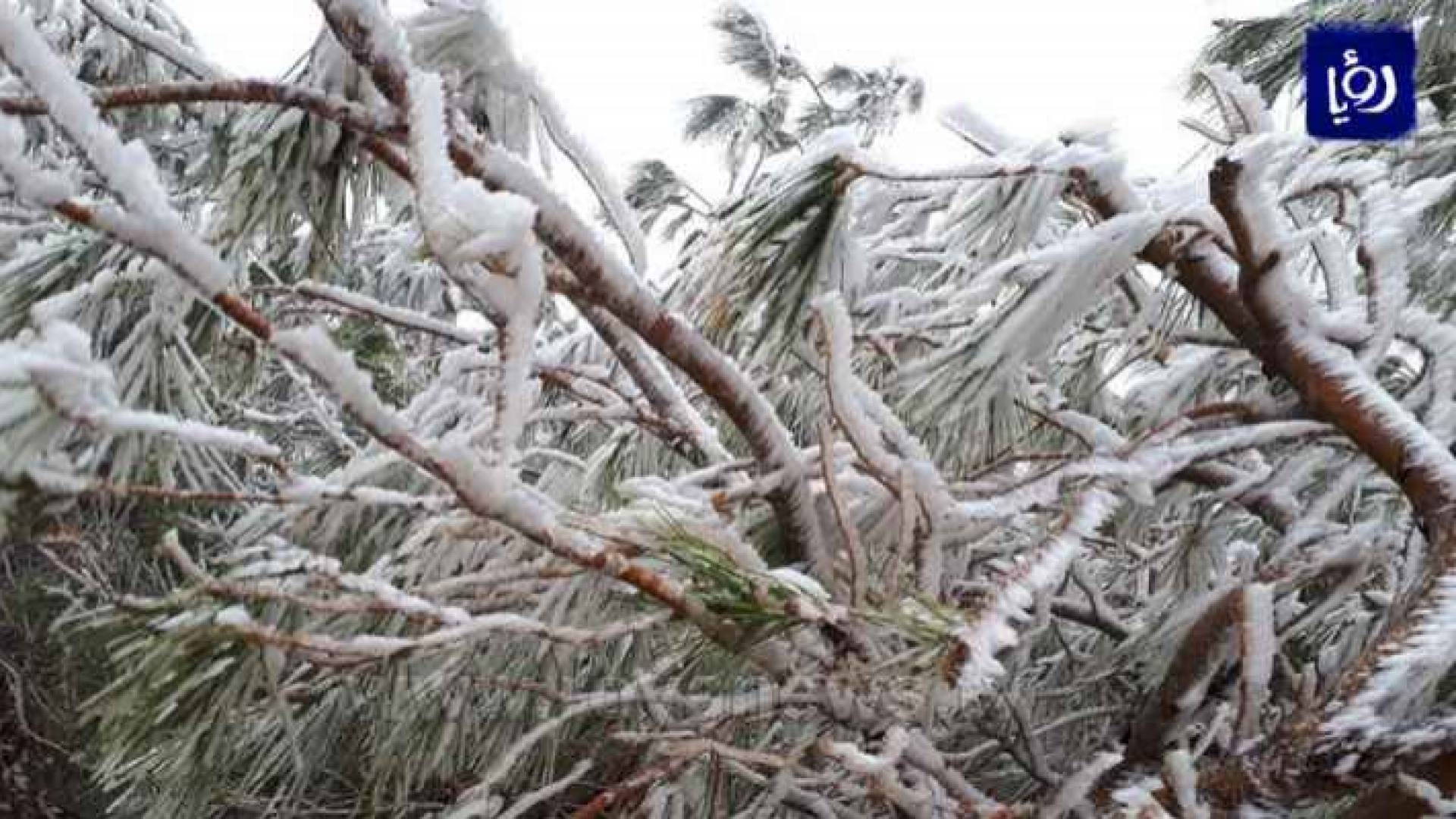 الصورة أرشيفية