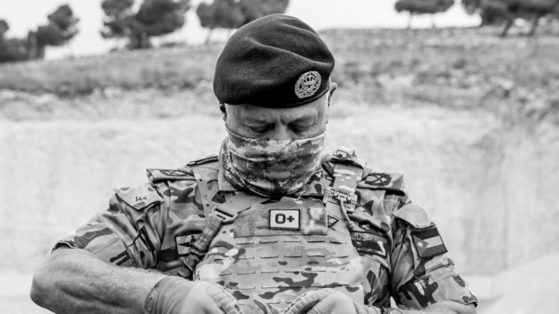 ولي العهد ينشر صورة لجلالة الملك: أسد الدار وذخر الوطن