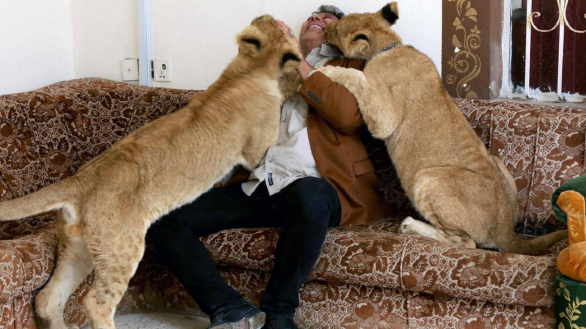 العراقي غالي المراجلة